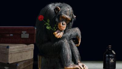 80年猴射手女2024感情运如何？运势解析让你更懂自己的爱情运势