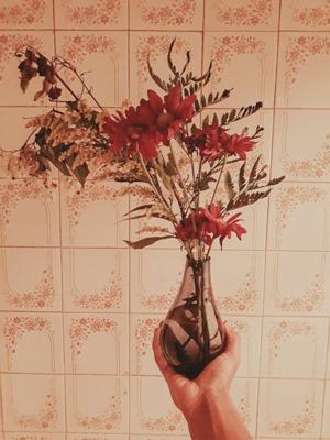 家里养花的风水禁忌，家里养花有什么忌讳