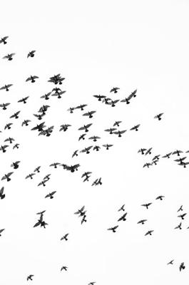 空亡是什么意思，传统周易中的空亡运势解析