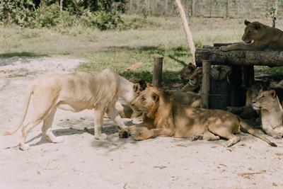 属龙和属狗不合财，属龙和属狗的人真的不能在一起吗
