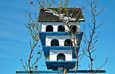 别墅小院子装修的风水讲究，巧用五行方位打造吉祥福地