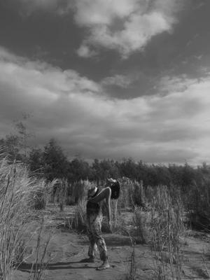 平原祖坟风水宝地怎样看，平原祖坟风水怎么看