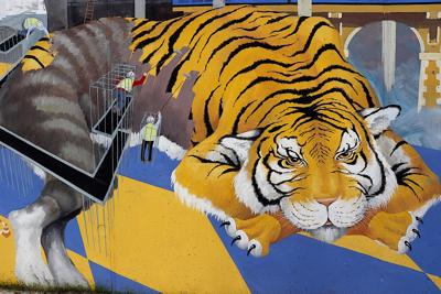 86年的虎今年去那个城市财运好，属虎的去哪个方向发展