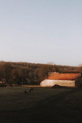 农村院子聚财纳福，农村院子布局风水调整宜忌