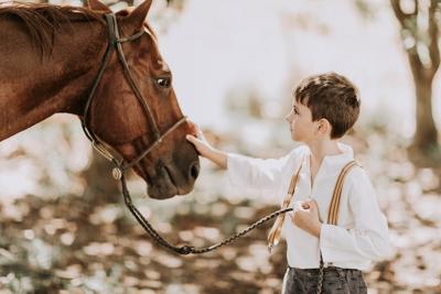 男孩属马最佳配偶属相，属马男孩和什么属相最配