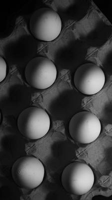 属鸡人的命运，属鸡人的运势解析与性格特点分析