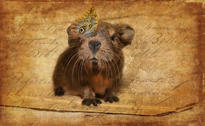 96年属鼠女财运在什么时候显现，属鼠女哪年起大运