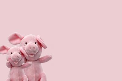 男属狗女属猪般配么？性格脾气相合性分析