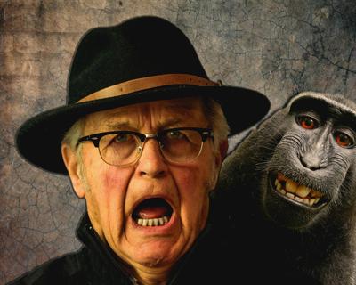 92年猴男和93年鸡女的婚姻好吗？探讨属猴男与属鸡女的性格和婚姻配对