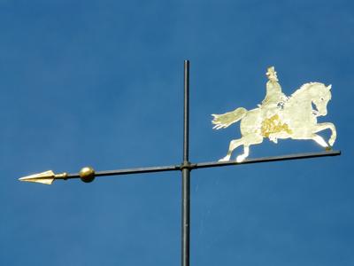 白玉兰的寓意和象征风水，白玉兰的风水作用与招财旺运风水布局