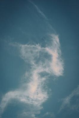 龙在天上飞寓意