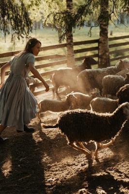 为什么女的属羊的命就不好，为什么女属羊命苦