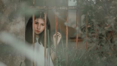 周公解梦梦见荔枝