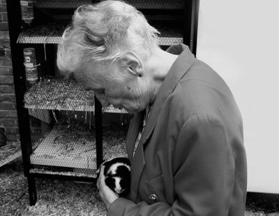 梦见去世的奶奶喂猫吃药