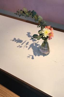 客厅养花风水禁忌，客厅养花风水布局可否招财纳福