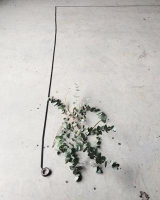 升官风水的摆件，升官风水摆件植物