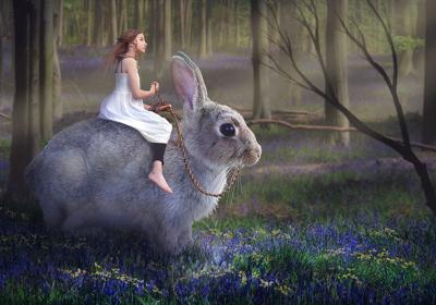 属马跟兔合不合，属马和兔在一起合适吗