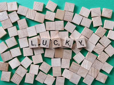 属虎的幸运花是什么花，选择适合的幸运花寓意美好运势