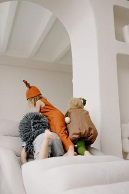 家里有几个人属龙，家里有两个人属龙怎么化解