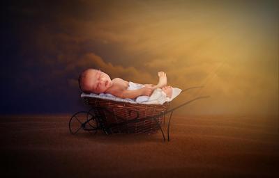 属马午时出生是什么命，属马午时出生的人命运