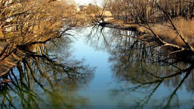 梦见河水清澈的预兆