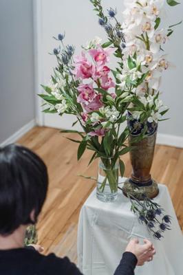 室内养花放在哪个方位好，室内养花风水方位搭配建议