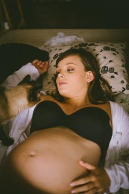 孕妇梦见狗咬人