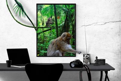 猴人办公室座位方向，属猴人办公室坐什么方位好