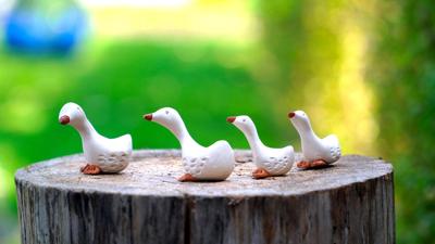 属鸡的人和属蛇的人，十二生肖相性分析及最佳配对建议