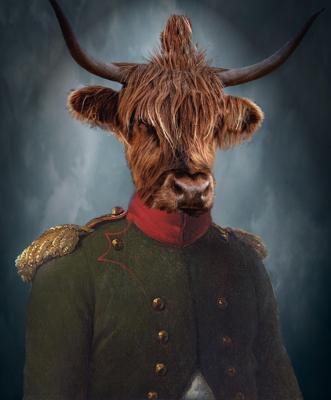 属鸡金牛男的性格，属鸡金牛男的性格和脾气及爱情