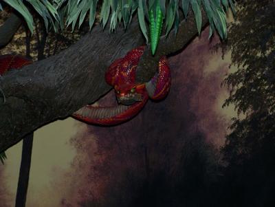 梦见青椒树上结满青椒