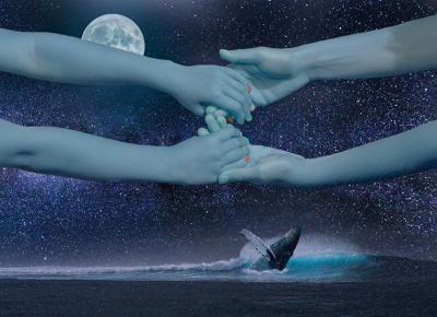 双鱼女和什么星座最配对，双鱼女最吸引哪类男人