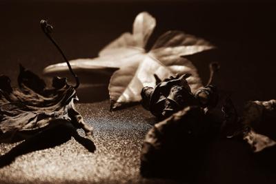 金天蝎是虐恋吗，金天蝎情感纠葛背后的真相