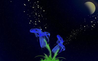 双鱼女吸引什么星座男，双鱼女星座吸引力解析