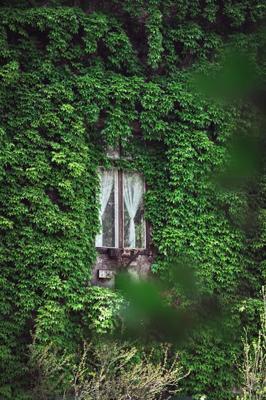 别墅院子大门朝向风水，别墅院子大门朝向哪里风水最好