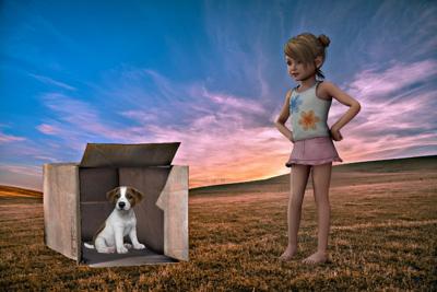 2024年狗人盖房，属狗人2021年建房怎么样？